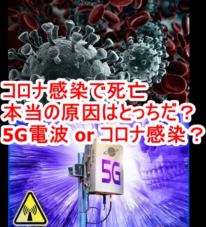 5gアンテナ設置業者の勇気ある告発 コロナウイルス感染エリアと5gサービスエリアは一致していることが さっぽろ雪まつりと東京とアメリカで証明されている 地球人類の光と闇