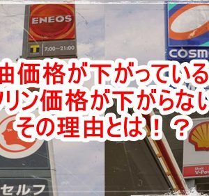 マシュー君のメッセージ（2021/2/3） ・政府の大改革と要人の逮捕 ・闇の3大拠点「バチカン」「ロンドン」「ワシントンDC」 ・NESARA/GESARAの攻防 ・陰謀論というレッテル貼りの目的 ・Covid-19と恐怖植え付けと5G電磁波