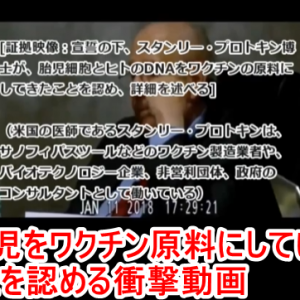 マスク着用が常識化しつつある現状についてどのように感じていますか？ウイルス感染を防ぐ最も有効な方法はマスクやうがいではなく、人間に備わっている免疫力強化だと思います！