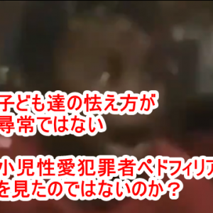 ＜※日本国民は必見＞日本の半導体産業を潰している犯人は日本政府と官僚組織である！日本政府は日本国民の敵である！