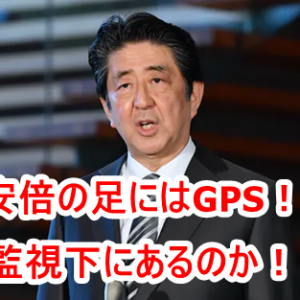 マイク・クインシーのハイアーセルフからのメッセージ（2020/12/4） 一番困難な部分は既に終えている！ 私たちの魂は強い！ 準備ができている人はアセンションする！ 未来は希望に満ちている！
