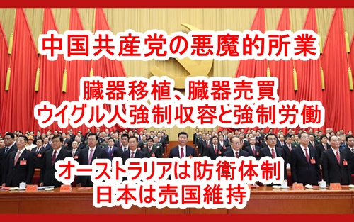 中国共産党の悪魔的な人権侵害と貿易相手国への報復について及川幸久さん動画のまとめ！奴隷強制労働に加担する日本企業11社、臓器移植、対外圧力・報復措置のやり方　