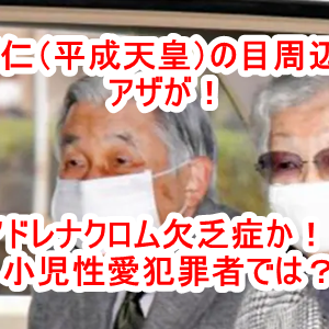 菅首相がバイデンに電話で祝意！菅首相は日本の深い闇にメスを入れる正義の首相である可能性について（個人的な考察）日米安保・在日米軍基地・在日朝鮮系・電通・日本メディア