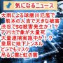 気になるニュース（2020/7/5）熊本県南部豪雨・渋谷で5G被害発生か！？・象が大量死・大量逮捕実施中か！？・皇居に地下トンネル・どこでもマスク・吊るし雲と虹の雲