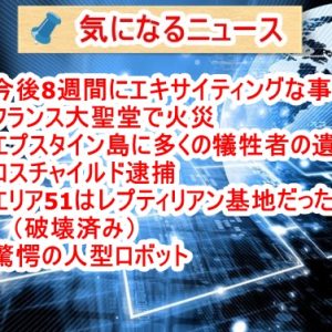 気になるニュース（2020/6/6）アメリカ暴動、PCR検査意味ある？、ブラジルWHO脱退検討、新中国連邦国家宣言、ミツバチ大量死