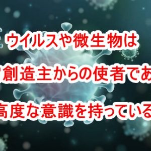 新型コロナ「Covid-19」の正体は蛇毒だった！新型コロナワクチンには蛇毒のmRNAが入っているとの驚愕の情報！レムデシビルで殺される