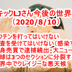日本の政治の仕組みを分かりやすく説明してくれている動画！・日米合同委員会の闇・RCEPに日本が署名・日本政府メンバーは思考停止か？