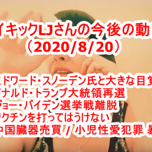 【転載】サイキックLJさんの今後の動向（2020/8/20）スノーデンと人類の目覚め・トランプ大統領再選・バイデン選挙戦離脱・ワクチンを打ってはいけない・中国臓器売買・小児性愛犯罪暴露