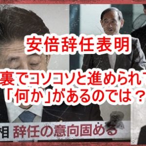 人類誕生と文明勃興の歴史について！レプティリアン種族によって作り出された地球人類とその歴史をドラコニアン種族から学ぶ！