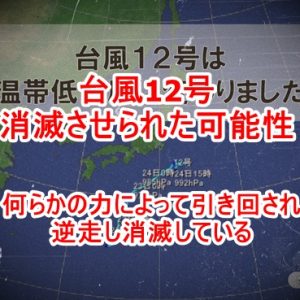 今は嵐の前の静けさです！想像している様な滅茶苦茶にはなりません！ブロッサム・グッドチャイルドを通して～光の銀河連合からのメッセージ～（2020/8/23）