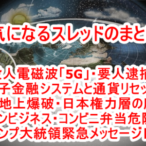 次期金融システムQFS（Quantum Financial System：量子金融システム）についてRon Gilesさん説明を転載！借金から流通が始まり、それに利息を要求する現在の巨大詐欺中央銀行システムは間もなく終焉する予定