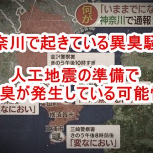 2020年米大統領選挙は不正だらけ！トランプ側は民主党の不正行為を事前に把握済みだった！バイデン民主党を泳がせて大量逮捕！不正を見破るQFSブロックチェーン暗号とは！？