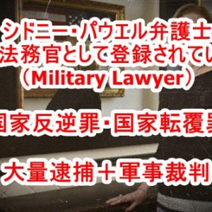 【転載】スキャンダル‼︎。日本の政府と警察は日本の子供達をシオニスト・マフイアから守らないで、毎年1万4千人の子供誘拐を日本人に隠蔽してきた！