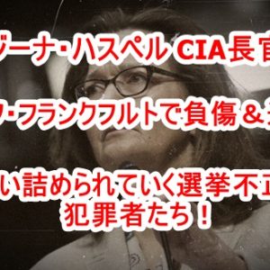 新型ウイルス「Covid-21」による人工パンデミック計画がリークされている！インド神童「アビギャ・アナンド君」預言とタイミングが同じ！サイキックLJさんも言及している！光の銀河連合「神聖な計画」の内である可能性！