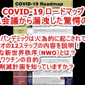 【COVID-19 ロードマップ】新型コロナウイルスを信じている人は必見です！ コロナウイルス騒動はNWO実現へのロードマップであることが判明！ シナリオが存在していた！ ダボス会議から漏洩した驚愕の人類支配内容とは！？