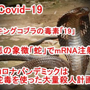 新型コロナ「Covid-19」の正体は蛇毒だった！新型コロナワクチンには蛇毒のmRNAが入っているとの驚愕の情報！レムデシビルで殺される