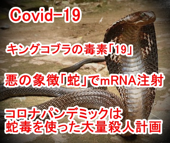 新型コロナ「Covid-19」の正体は蛇毒だった！新型コロナワクチンには蛇毒のmRNAが入っているとの驚愕の情報！レムデシビルで殺される